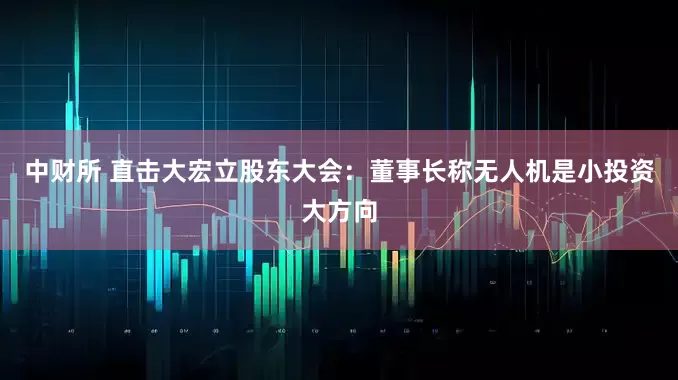 中财所 直击大宏立股东大会：董事长称无人机是小投资大方向