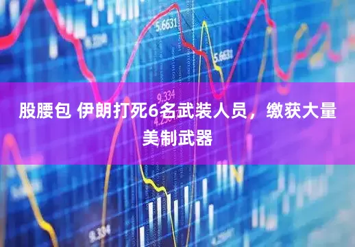 股腰包 伊朗打死6名武装人员，缴获大量美制武器