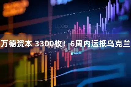 万德资本 3300枚！6周内运抵乌克兰