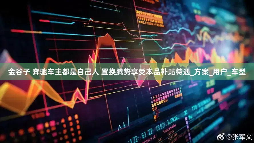 金谷子 奔驰车主都是自己人 置换腾势享受本品补贴待遇_方案_用户_车型