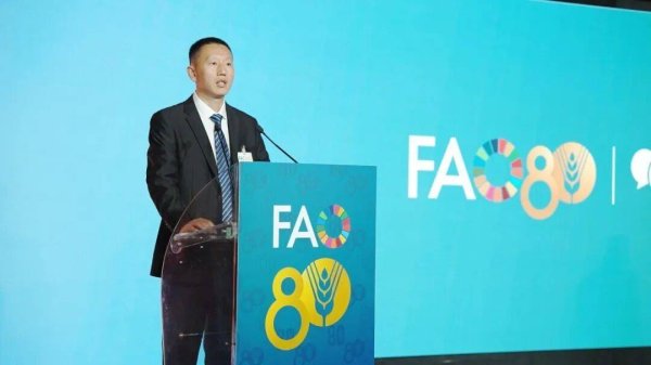 赢盈配资 金正大携缓控释肥技术亮相FAO全球展会